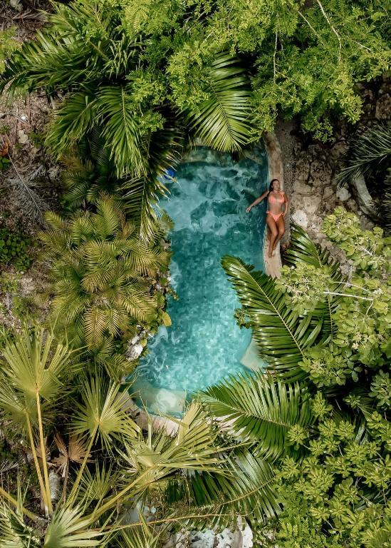 ANAND Ecoaldea, Puerto Morelos