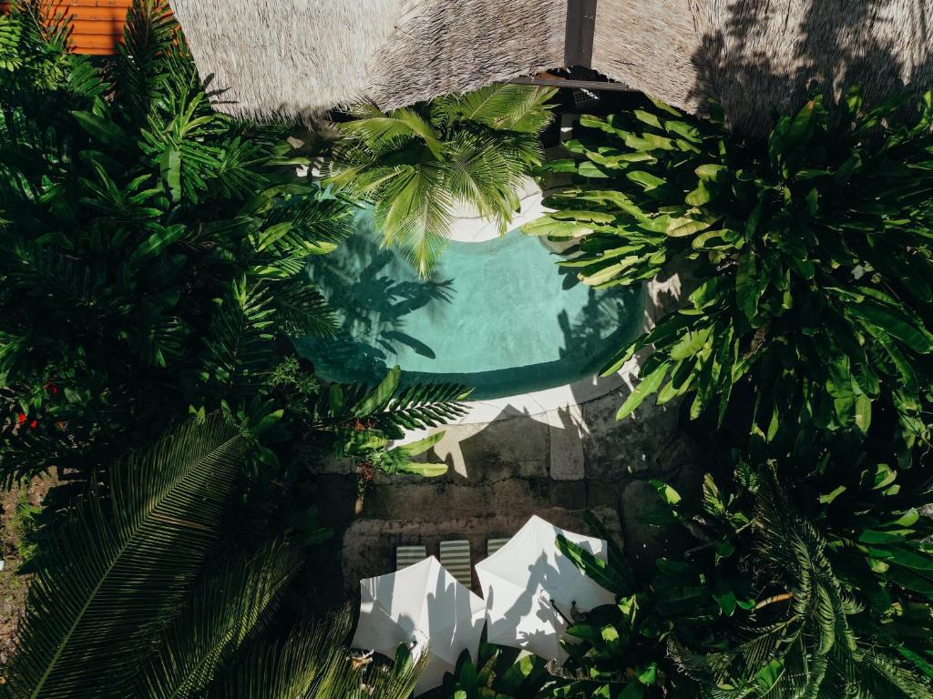 Conga Boutique Hotel