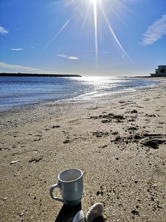 Studio vue mer, Cap d'Agde