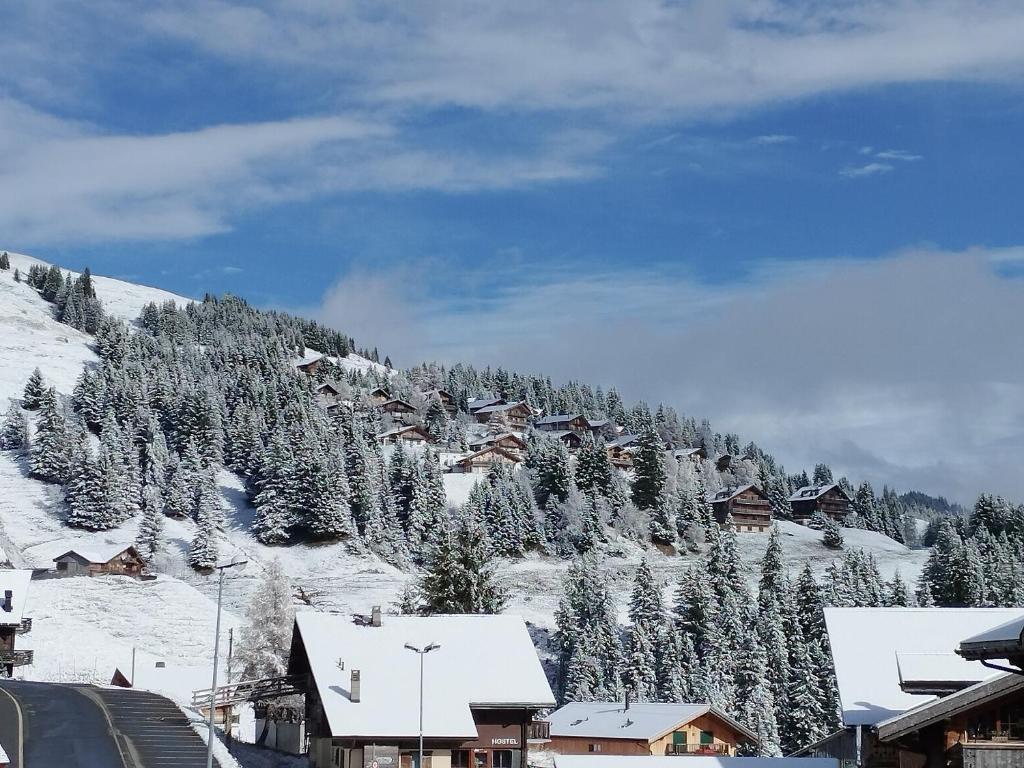 Appartement ski in and ski out - 2