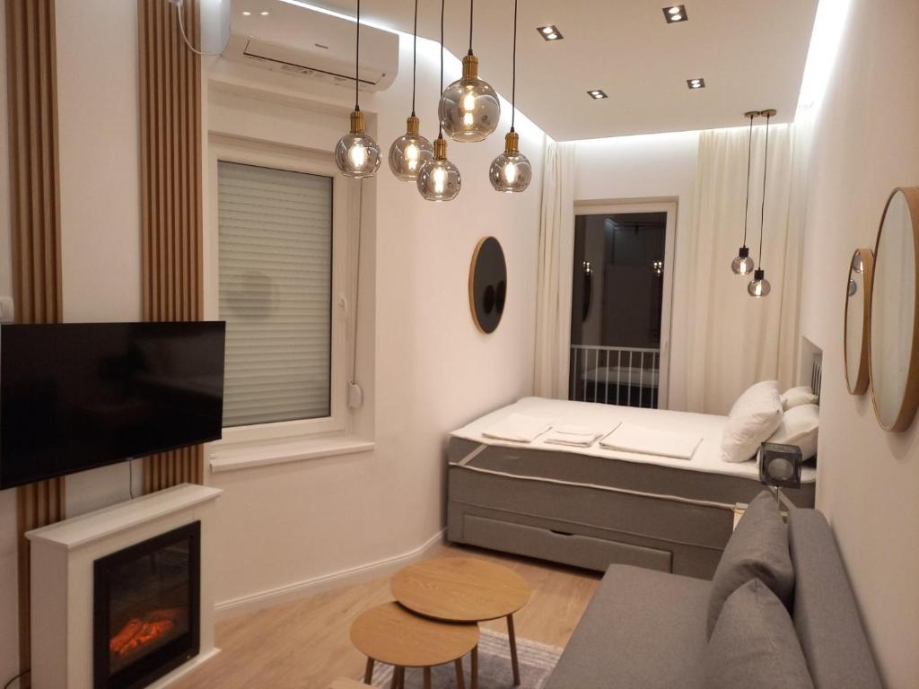 Apartment Hilandarska - 1