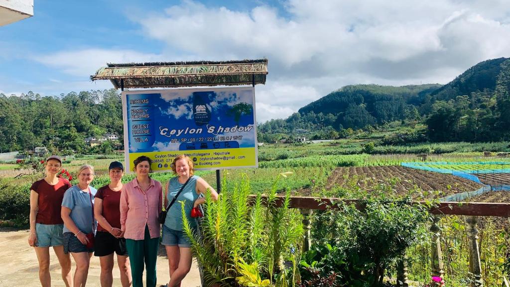 Ceylon shadow, Haputale