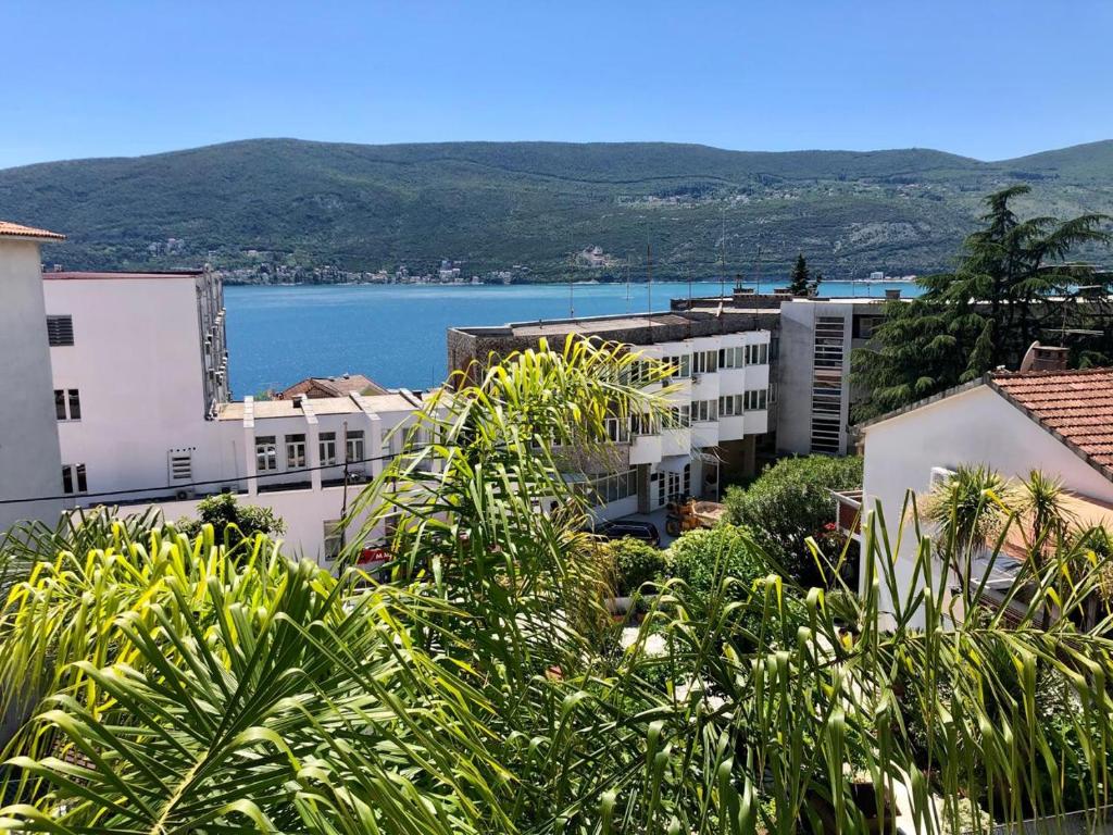 Great 1-Bedroom Private Apartment in Villa - 5