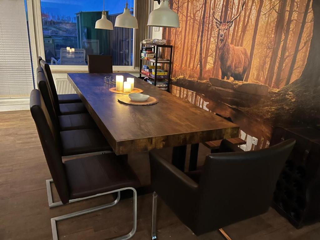 Panoramic Hohegeiß App 646 u 647 mit WLan, Braunlage