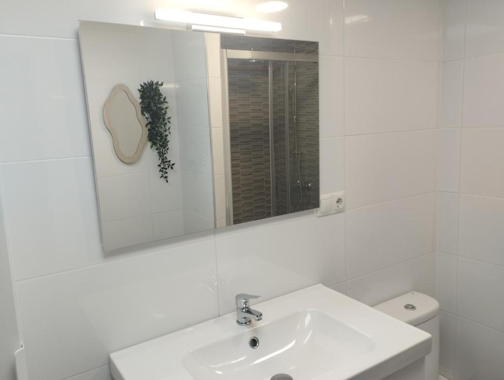 Apartamento Moderno a 100 metros de la playa y junto a Puerto Deportivo de Aguadulce - 5