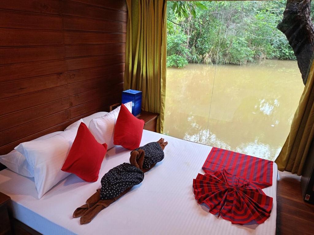 Harmony by the lake, Dambulla