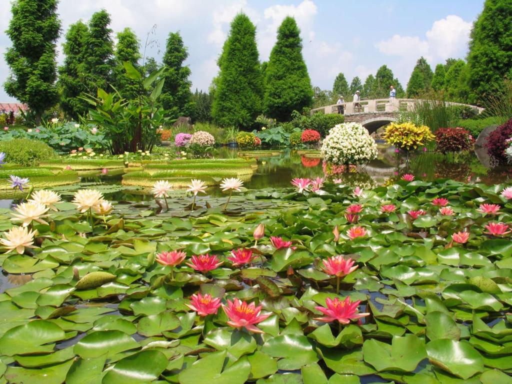Nearby attraction