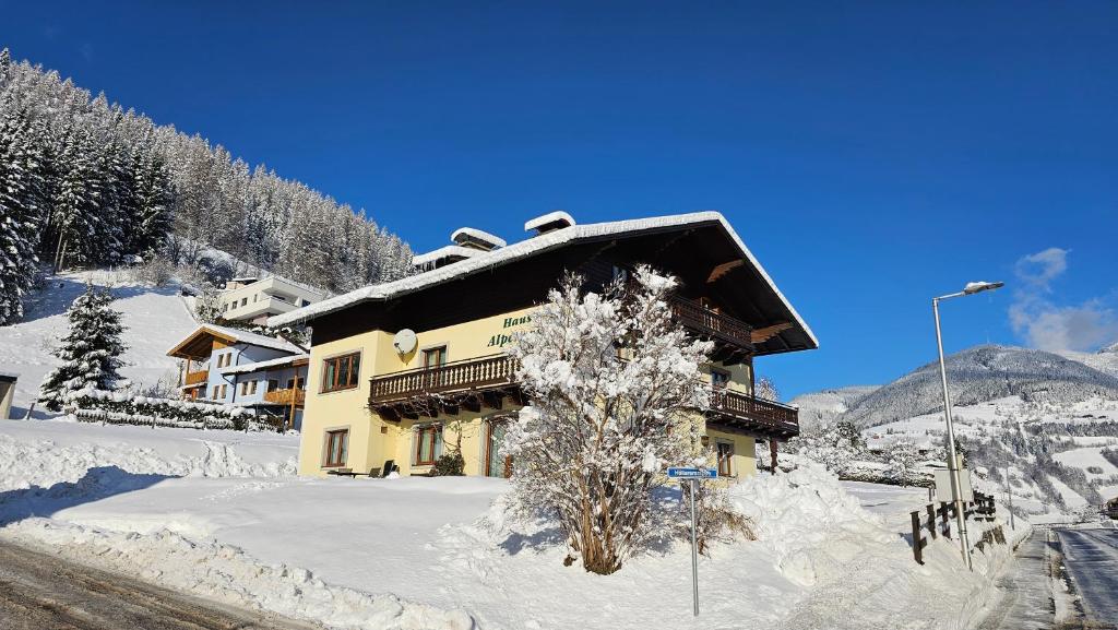 Ferienhaus Alpenrose - 4