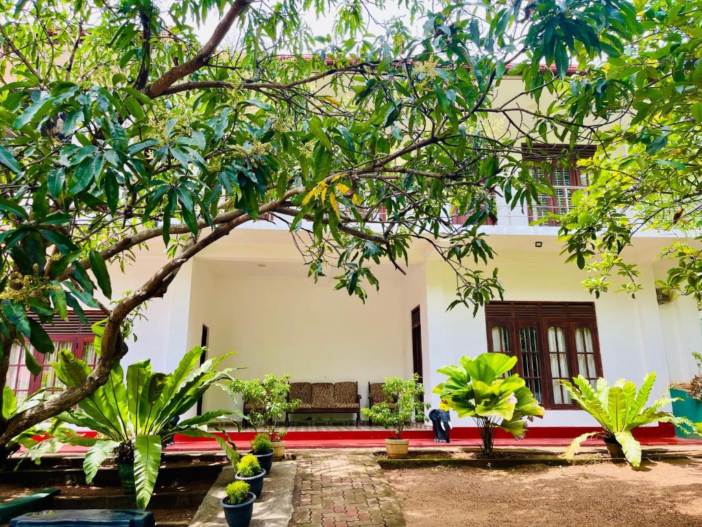 Piyasa Rest, Sigiriya