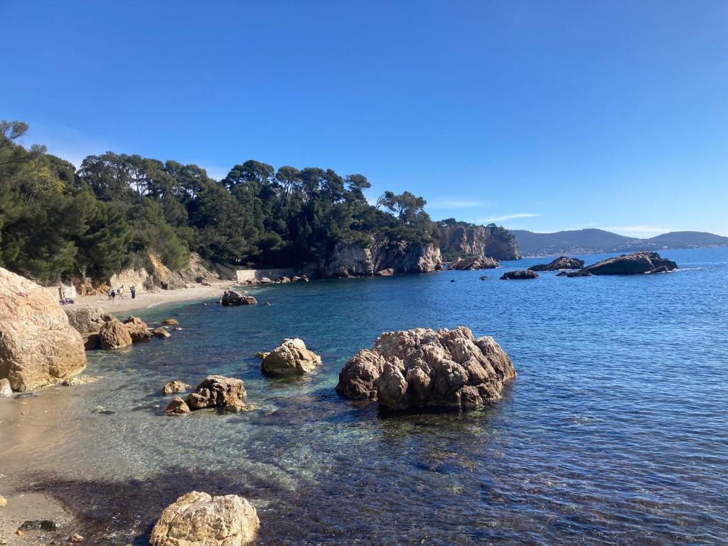 Clairière du Cap Brun - 2