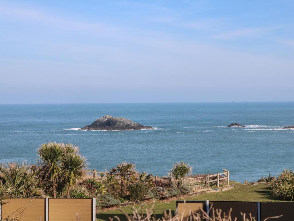 Kittiwake, Newquay photo 7