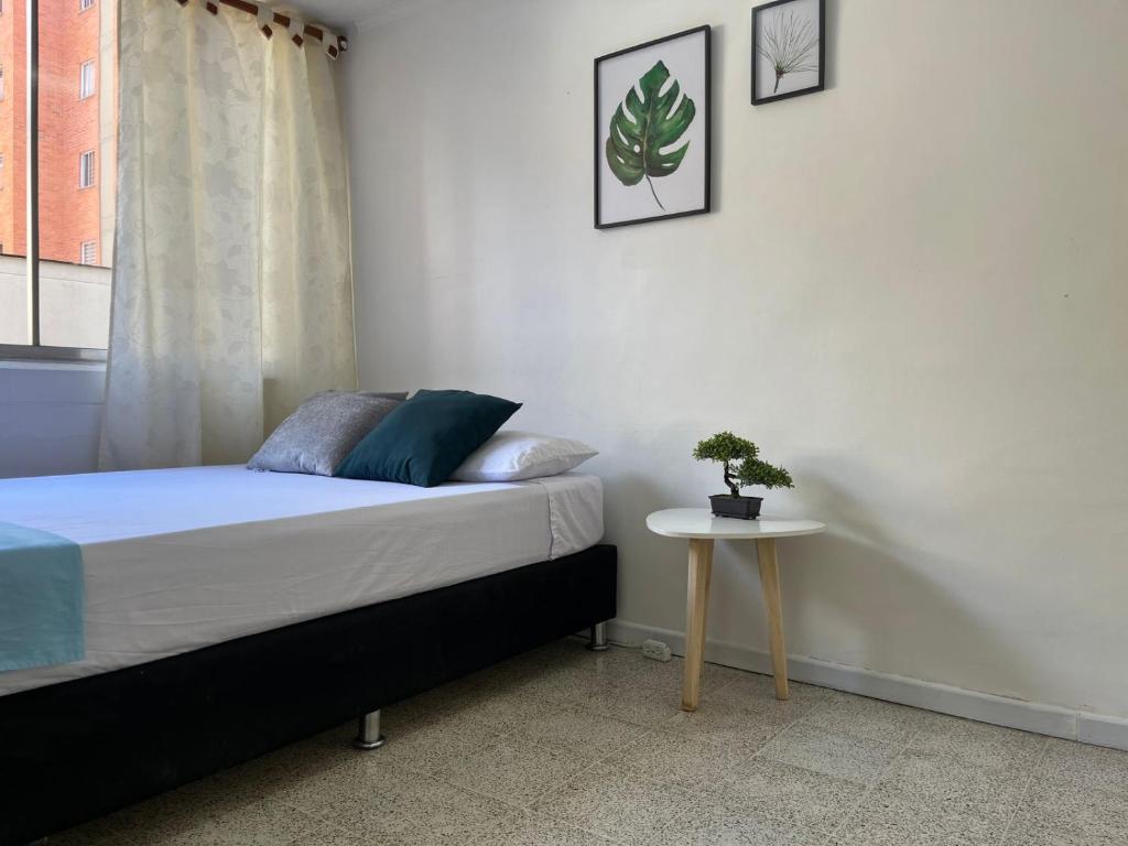 Laureles la castellana habitación 2 - 4