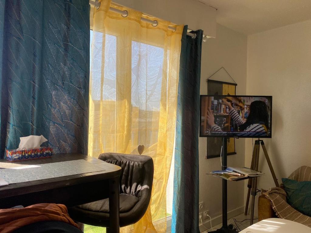 Studio cosy DE GAULE - 2
