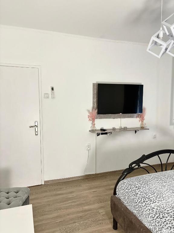 Apartman Nina 2 BANOVO BRDO - 2