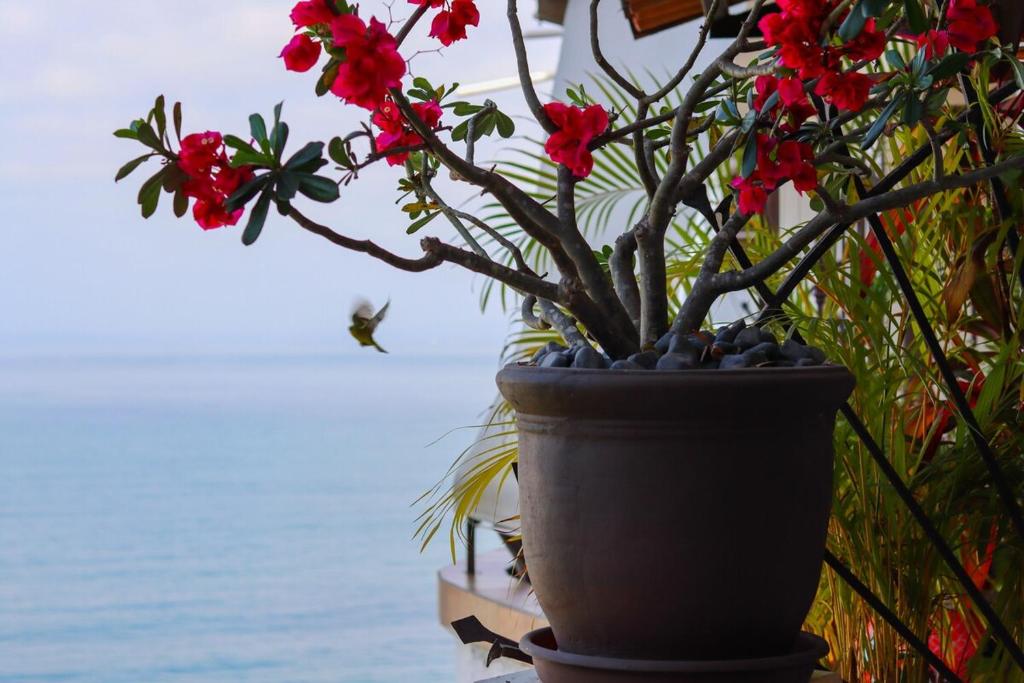 Condo Best of Life - One Bedroom Ocean Views - 3