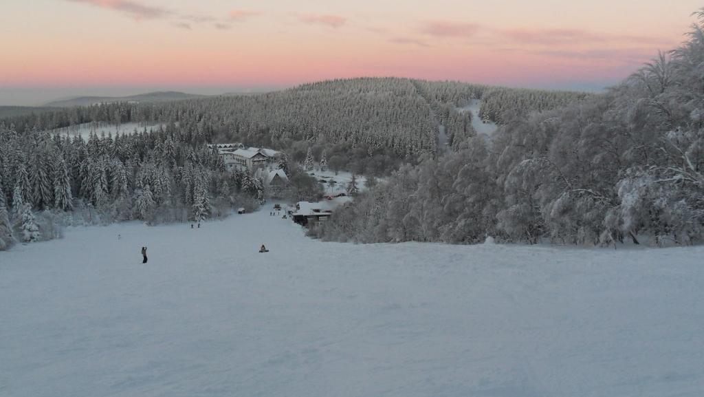 Surrounding environment