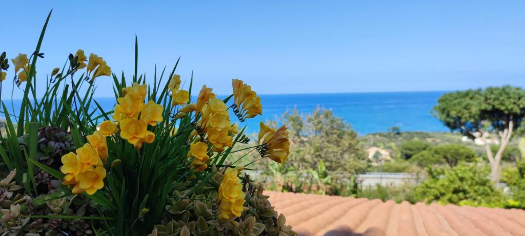 Costa Azzurra Cefalù Residence - 4