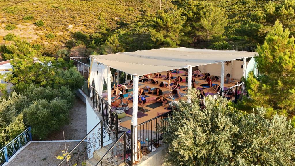 フィットネス/ジム