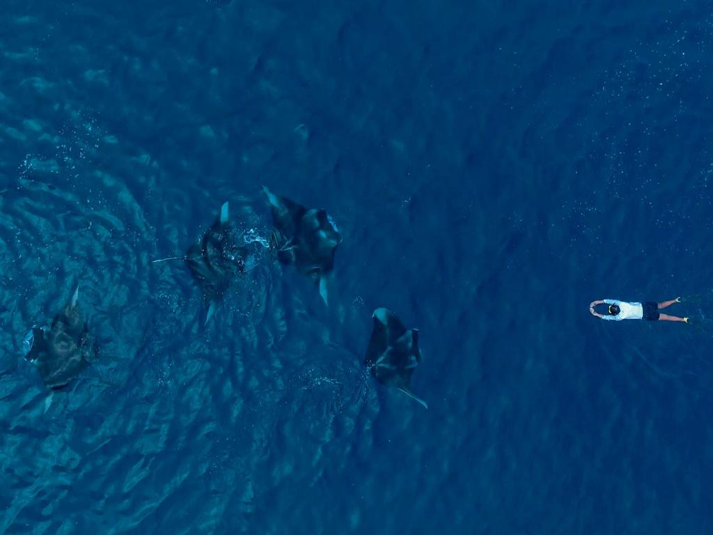 Surrounding environment