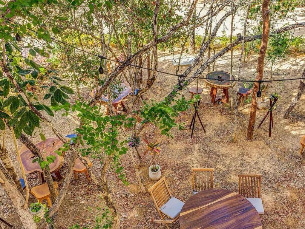 Lujoso Departamento con Amenidades en Nim Selva Norte Tulum - 3