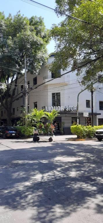 Orizaba, Roma Norte - 3