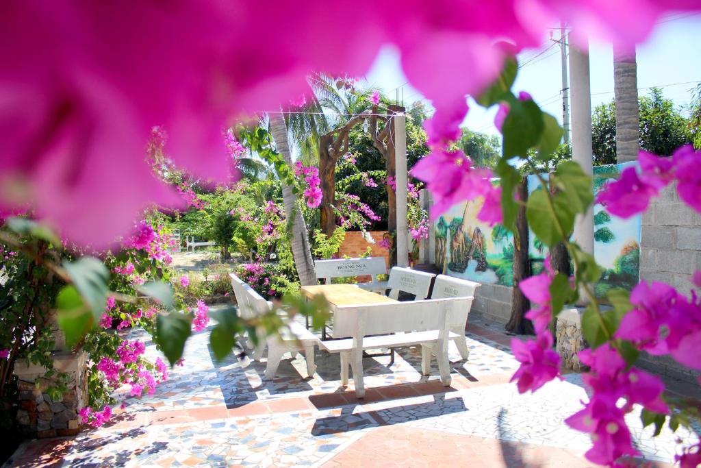 Nearby attraction, Hoang Nga Guest House in Phan Thiet