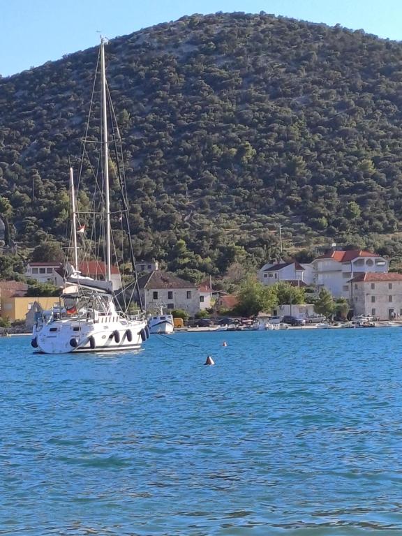 Apartmani Markov, Vinišče