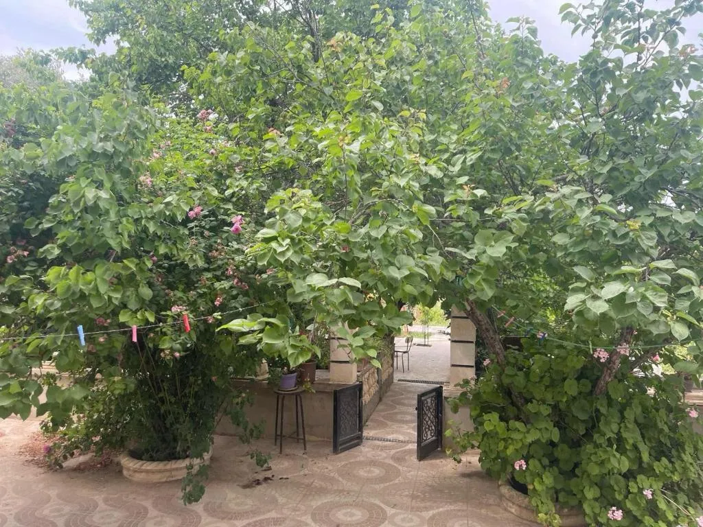 F2 Maison avec jardin à Constantine, hotel in Hamma Bouziane