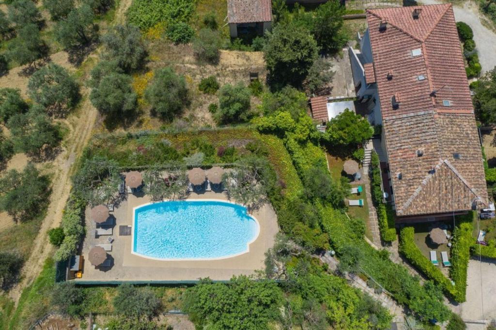 Podere Oliveta - 2