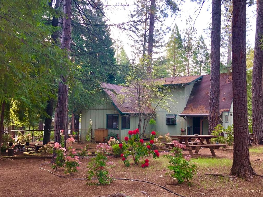 Groovy Cabin in the Woods, Pollock Pines