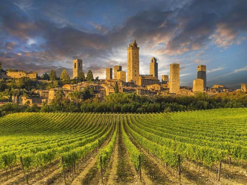 House in San Gimignano - 3