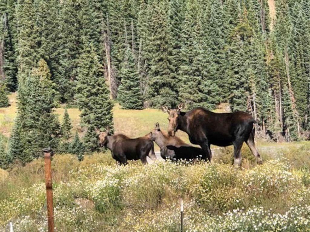Mountain Views near hiking trails and ski slopes, Breckenridge