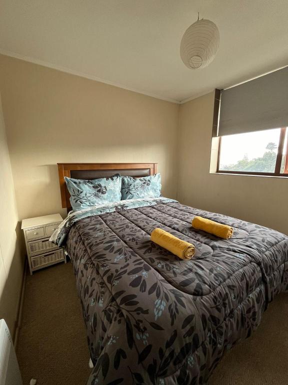 Depto completo un dormitorio concepción, Concepción