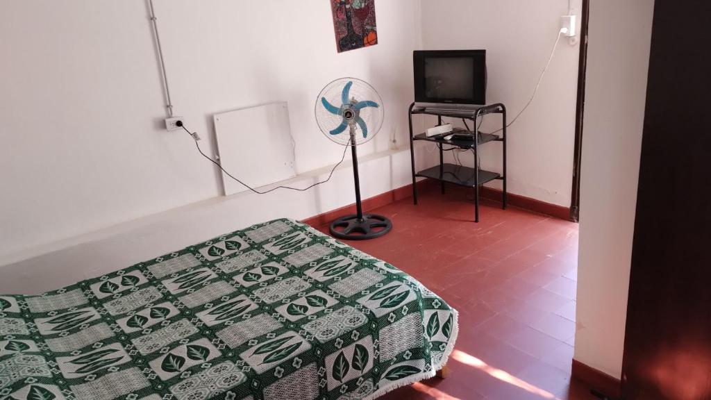 Sol de la cumbre - 2