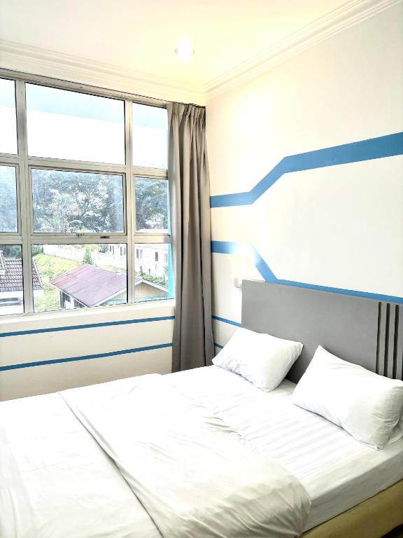 Surrounding environment