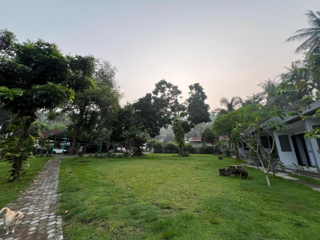 Surrounding environment
