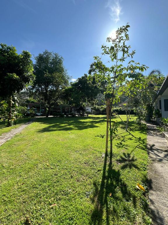 Surrounding environment