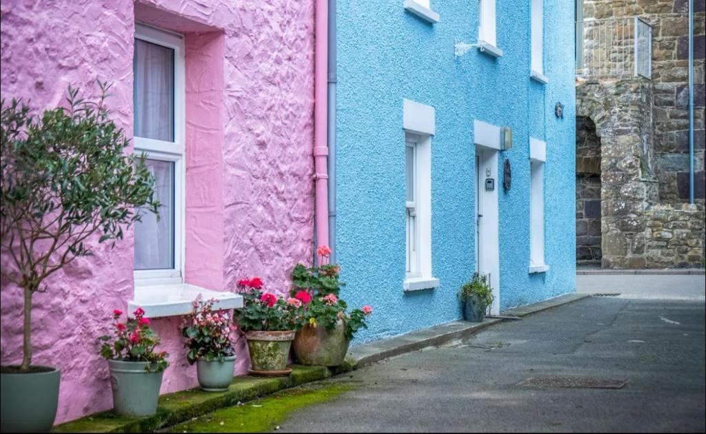 Calebs Cottage- Solva harbour, Solva