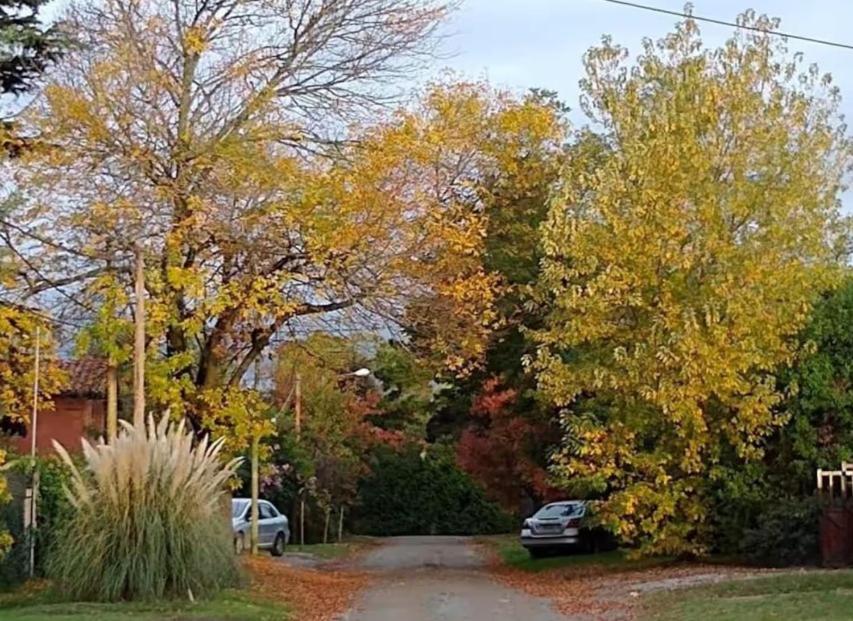 Pilares Golf B&B - 4