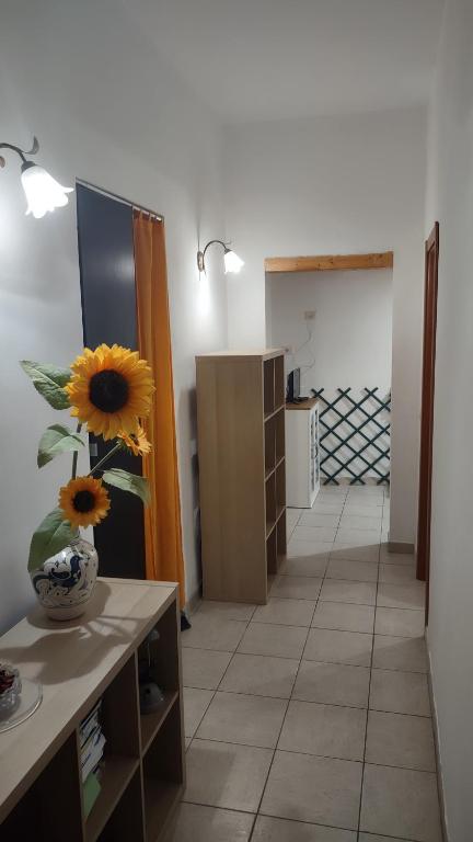 Saint Peter Apartment - 4