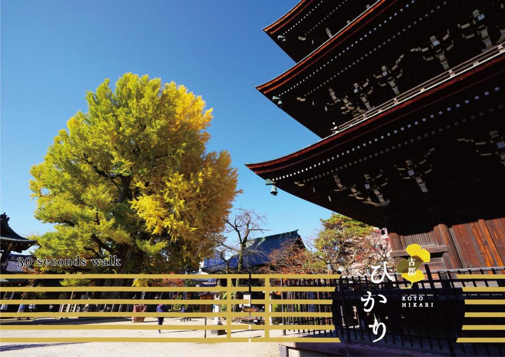 古都ひかり1, Takayama