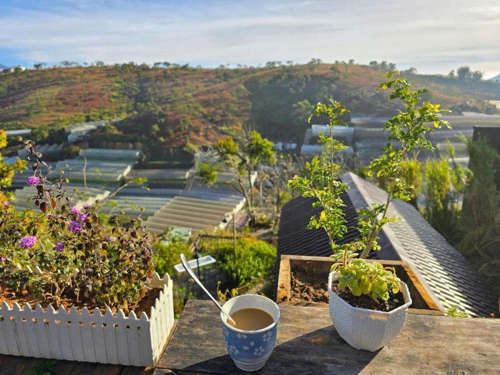 NOMAD Home & Coffee, Dalat