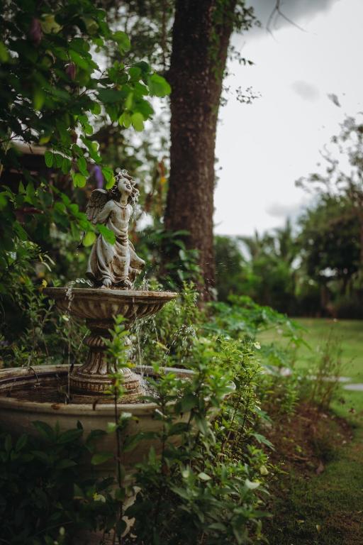 Surrounding environment