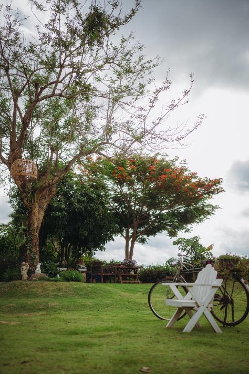 Surrounding environment