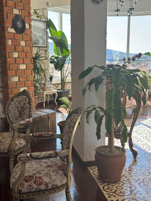 Tesis özellikleri