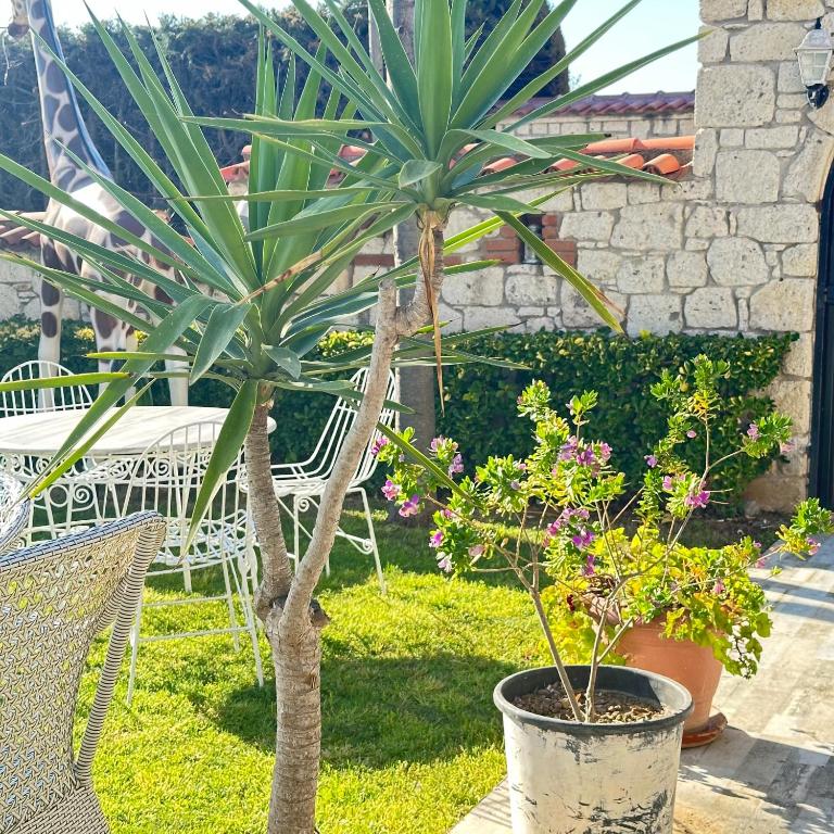 Bahçe