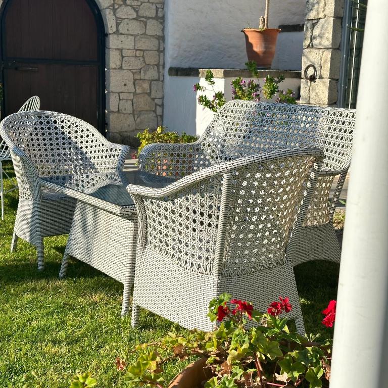 Tesis özellikleri