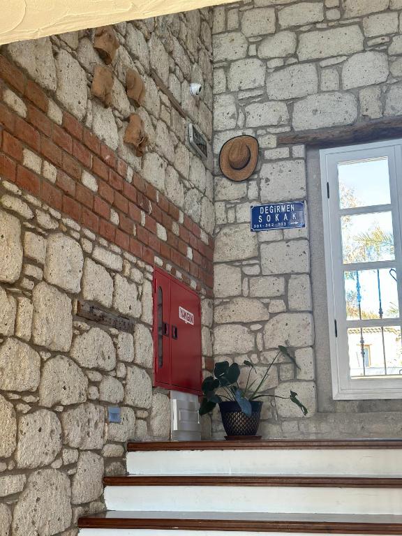 Dış Görünüm