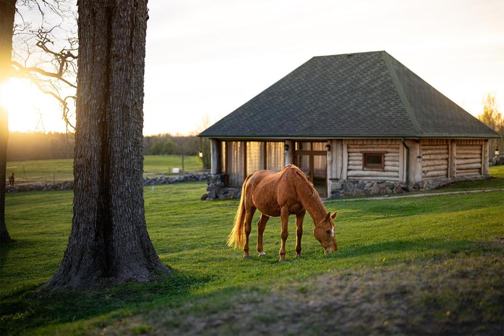Metsapiiga Puhkemaja, Vilina