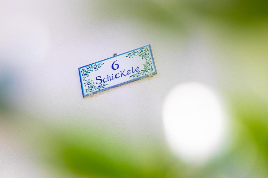 Colmar Centre - Le Schickele - garage privé - climatisé - 4